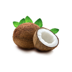 KOKOS / ULJE