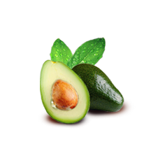 AVOKADO / ULJE
